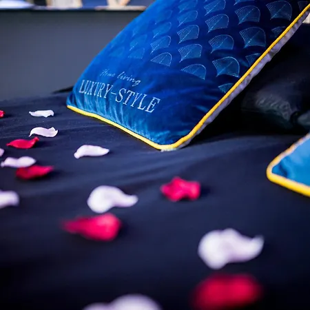 Апартаменты Loveroom Sauna, Balneo, Parking Prive Dans Le Centre De *